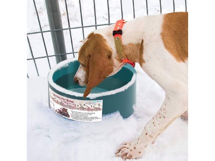 商品紹介ページより犬が雪の中で水を飲んでいる写真