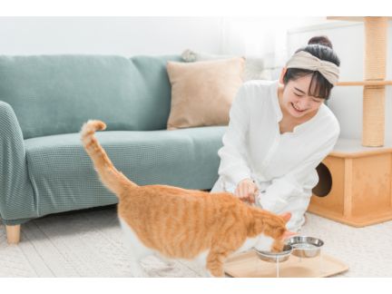 女性が猫にエサを与えている写真